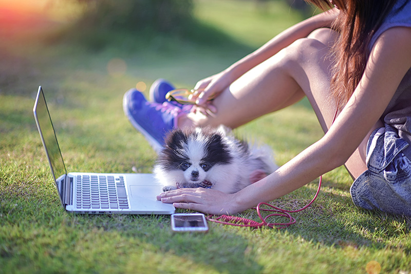 Modalidades de psicoterapia online